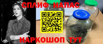 Альфа ПВП Можга