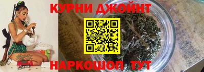Альфа ПВП Можга